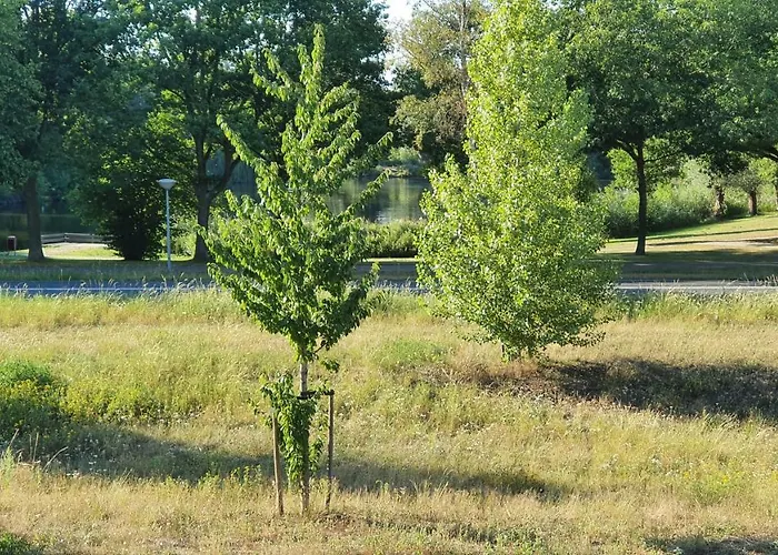 Logies Bij Wandelpad Te Holten