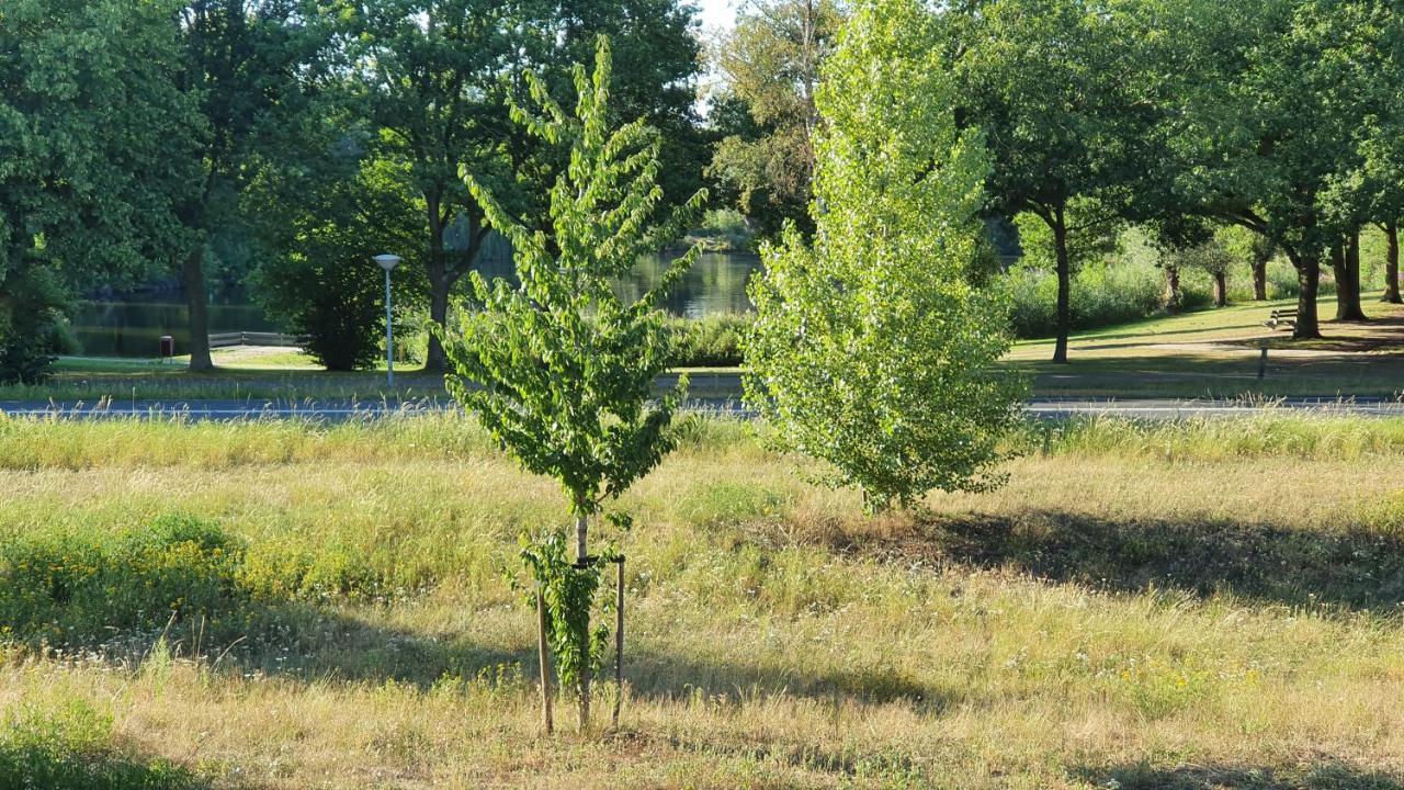 Séjour chez l'habitant Logies Bij Wandelpad Te Holten